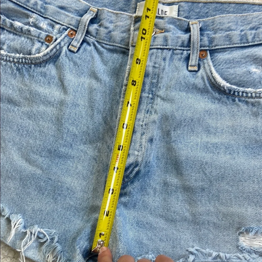 NOT FOR SALE Agolde Parker Vintage Cutoff Shorts - Picture 9 of 14